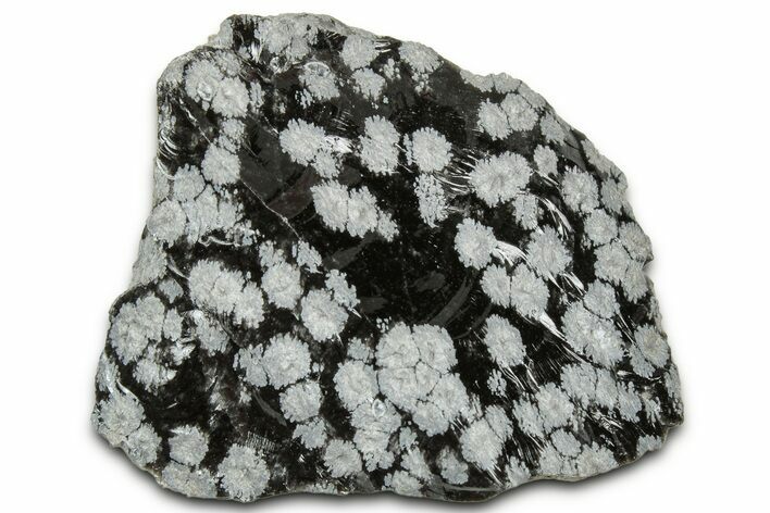 Snowflake Obsidian Section - Utah #327138